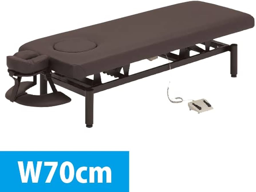 ネチュラ　Electric flat memory FV223 電動昇降ベッド FV-223 ネチュラElectric Flat Memory(エレクトリックフラット
